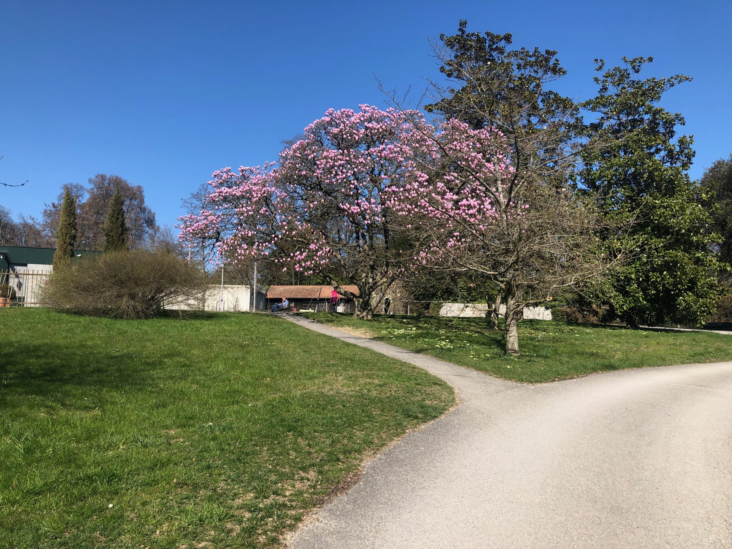 2019-03-24_14-47-00