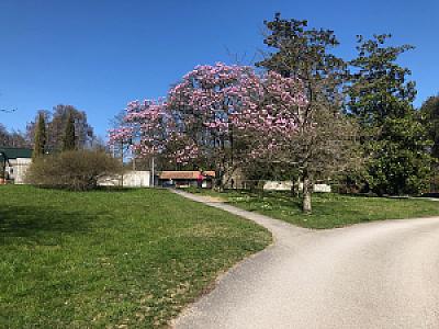 2019-03-24_14-47-00