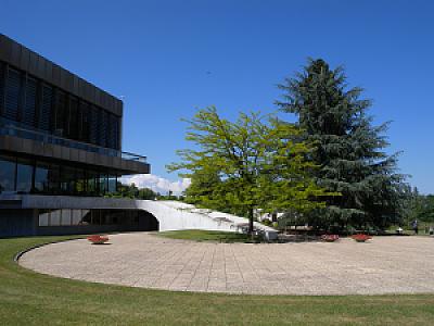 2010-06-05_15-05-53