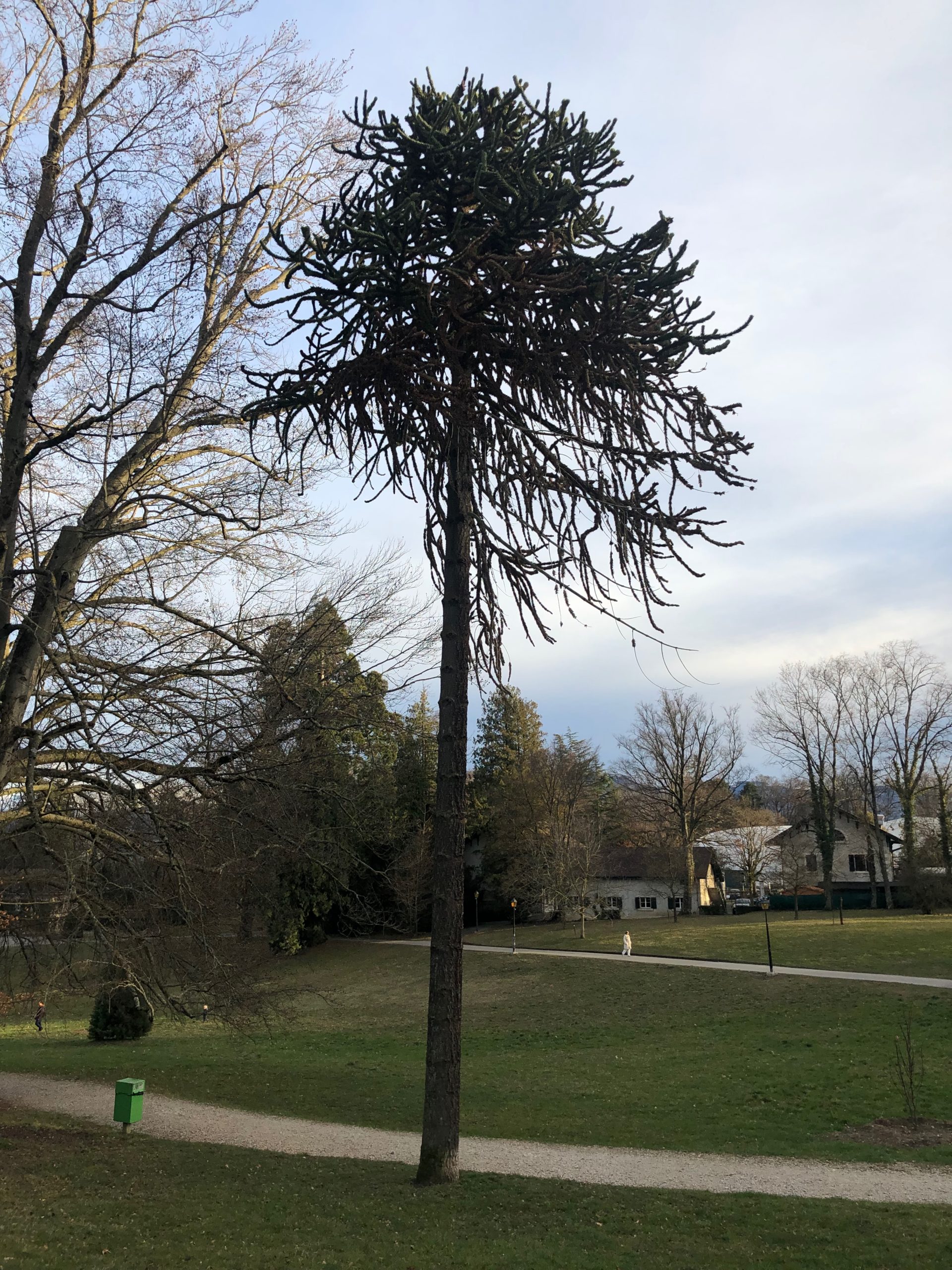 2019-03-03_17-29-21