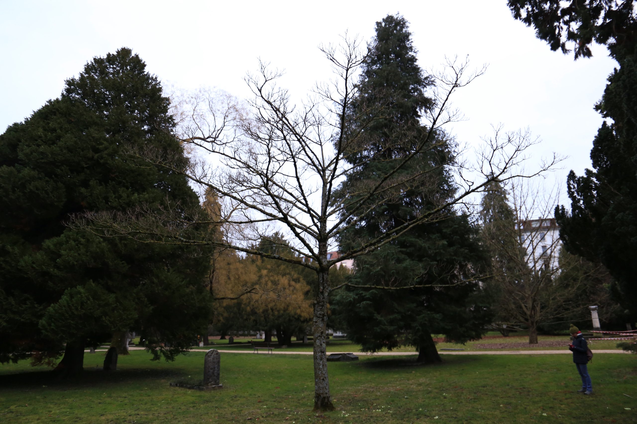 2019-03-02_18-09-34