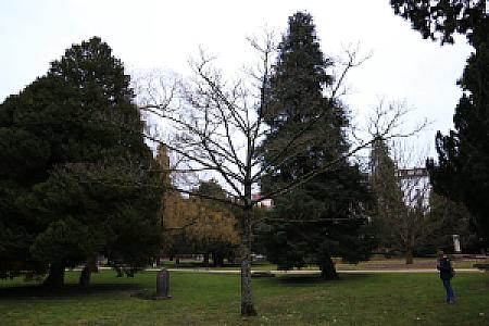 2019-03-02_18-09-34