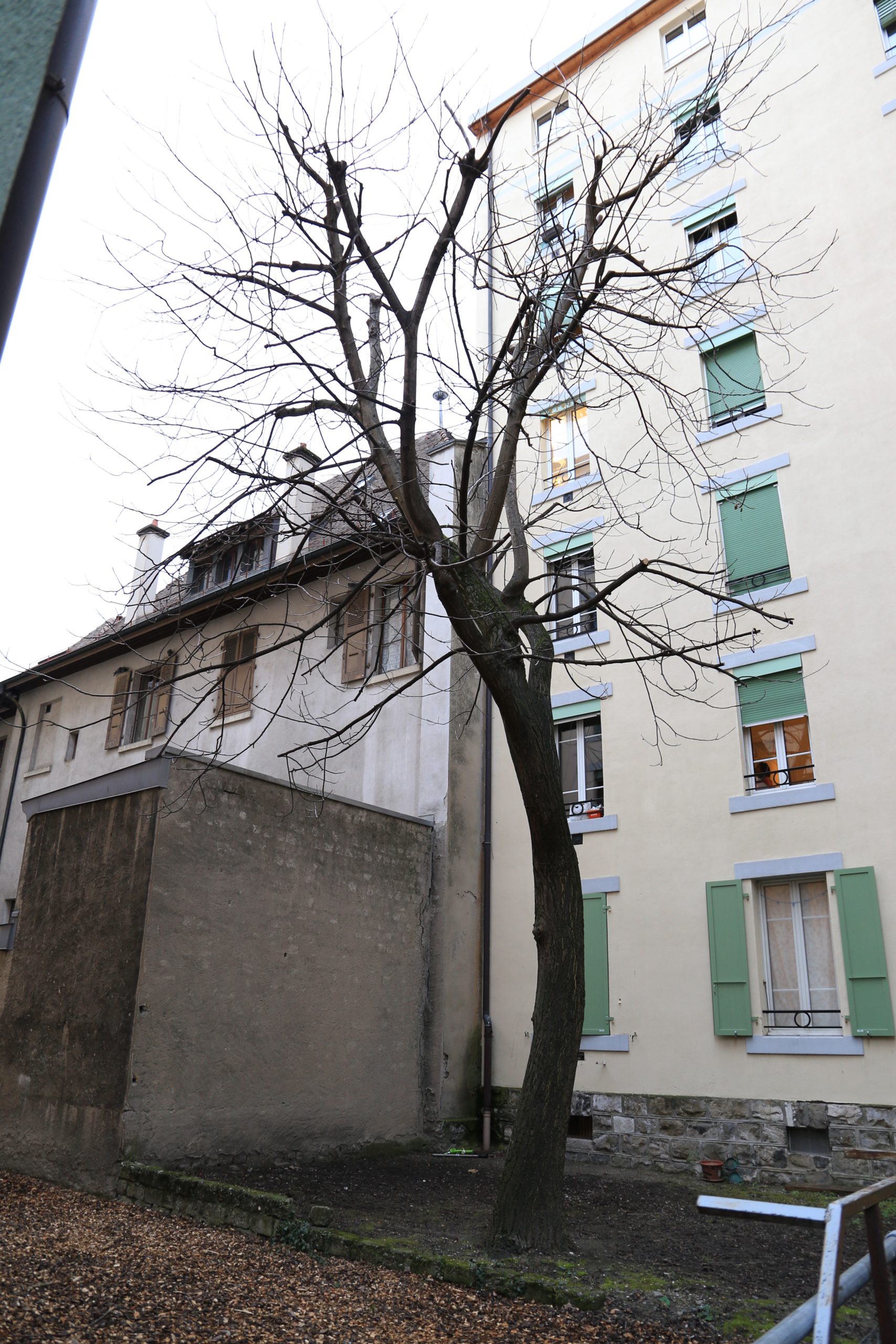 Rue des Plantaporrêts 6