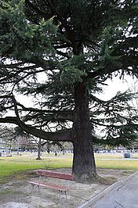 Cimetière de Châtelaine