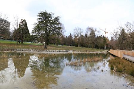 2019-03-02_16-48-43