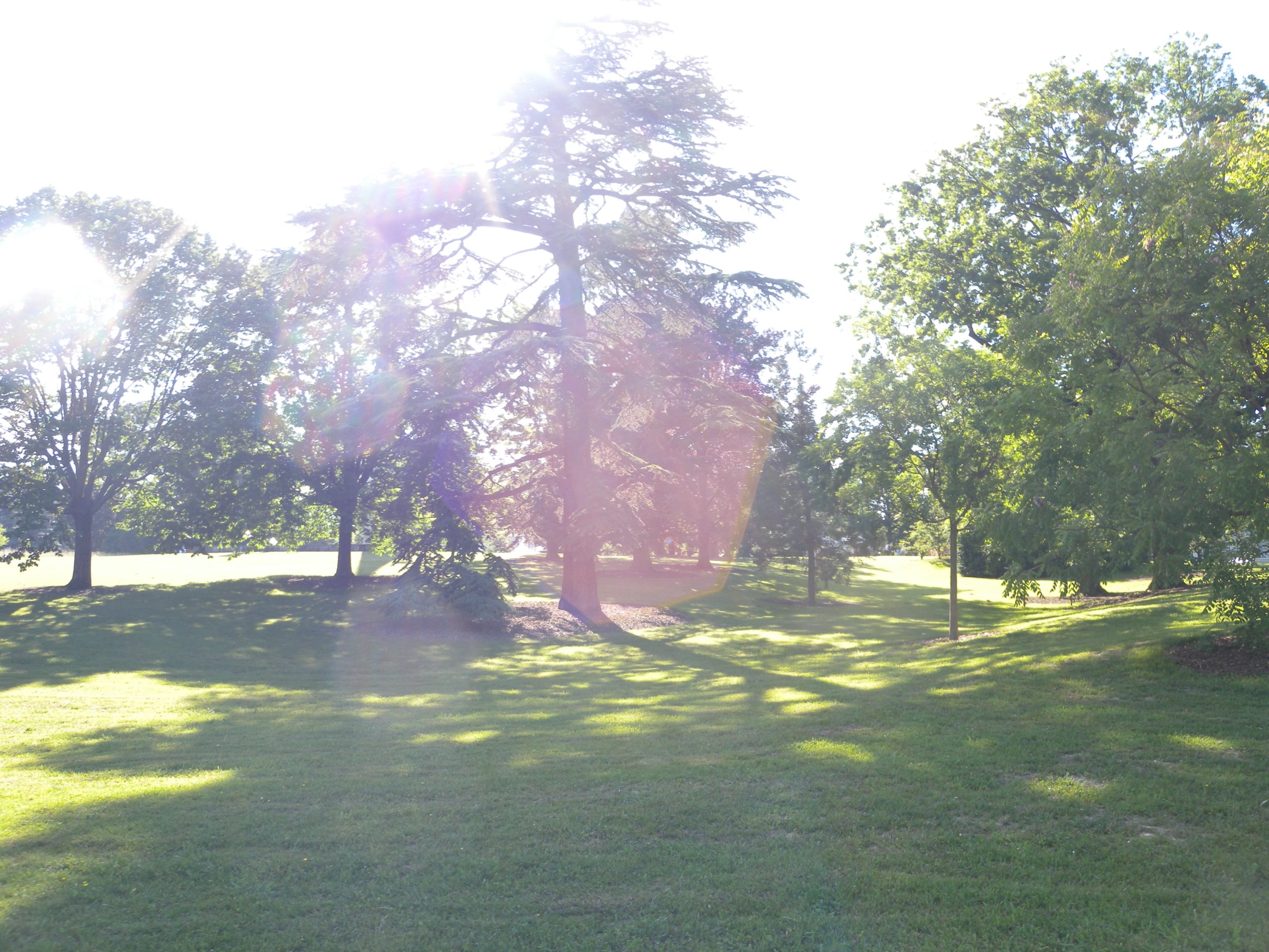 2010-06-05_16-35-49