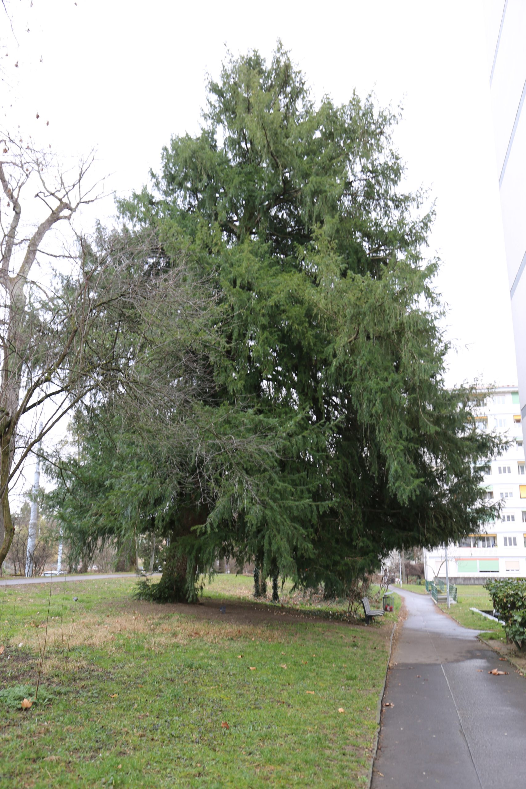 Avenue de Crozet 6-60