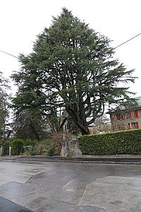 2019-03-02_14-11-34