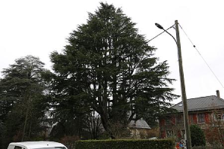 2019-03-02_14-11-19