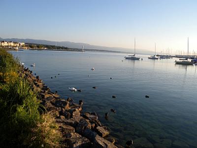 2010-08-07_06-18-22
