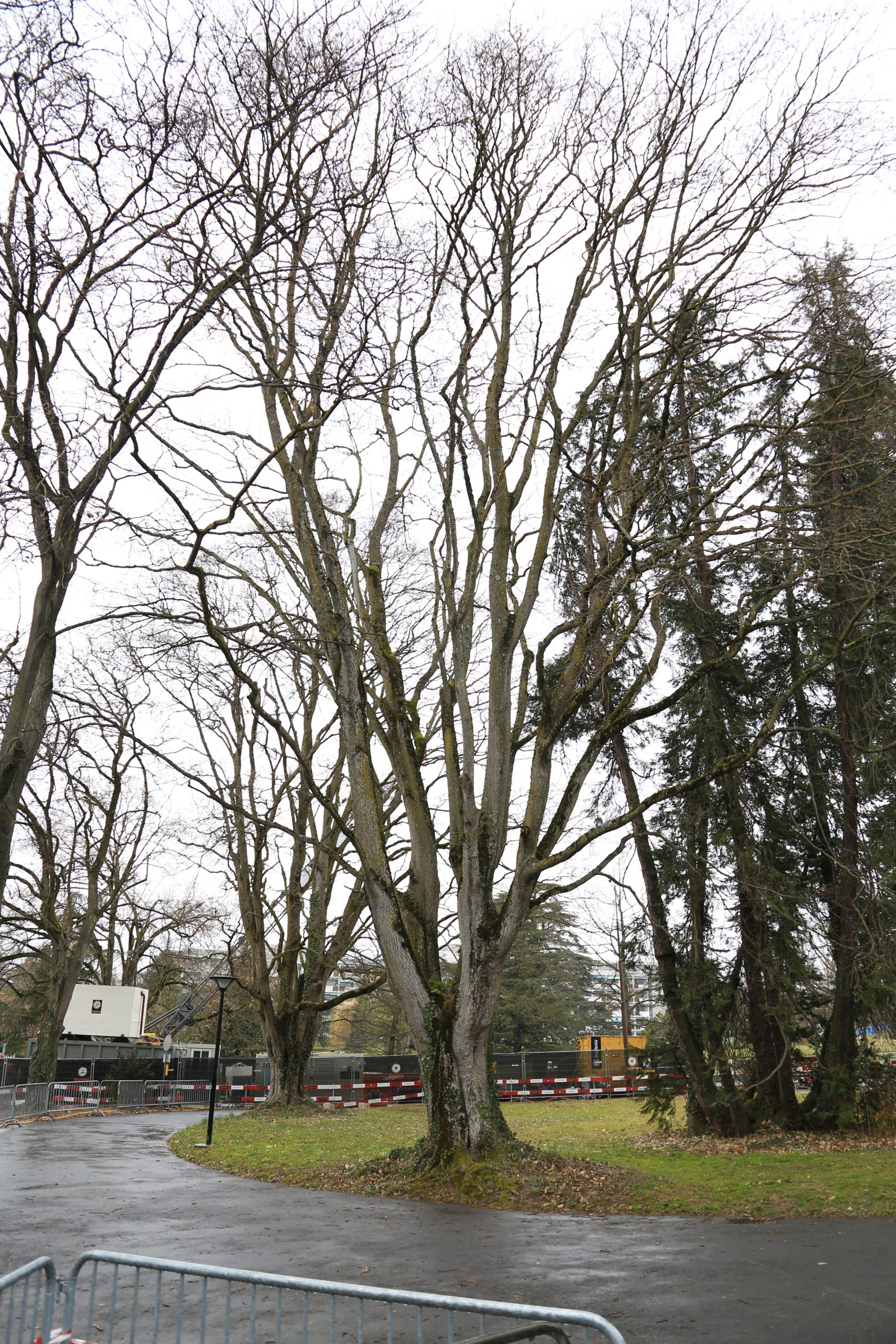 2019-03-02_14-02-34