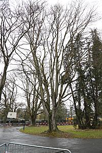 2019-03-02_14-02-34