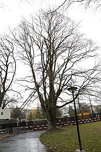2019-03-02_14-01-40