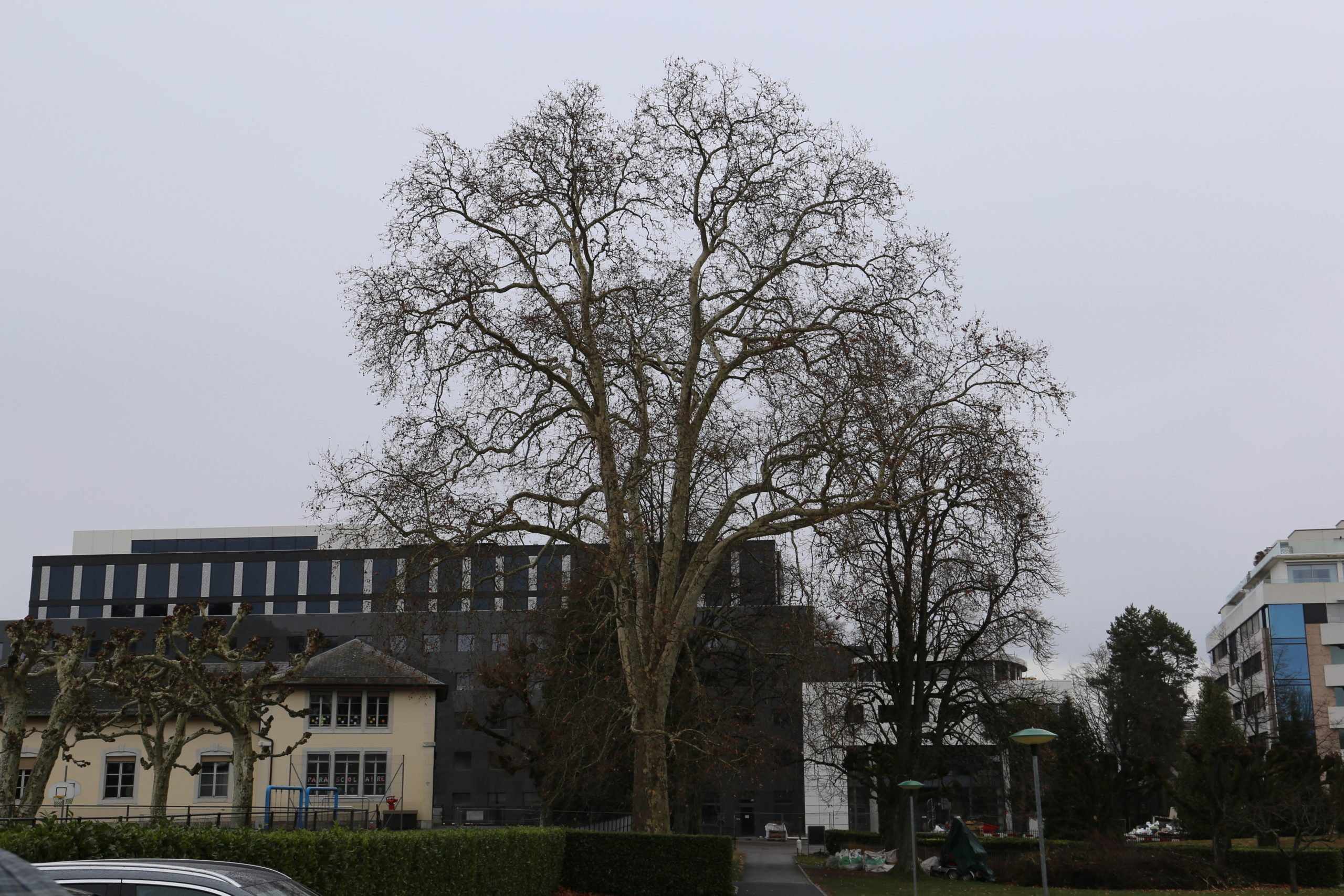 2019-03-02_13-52-22