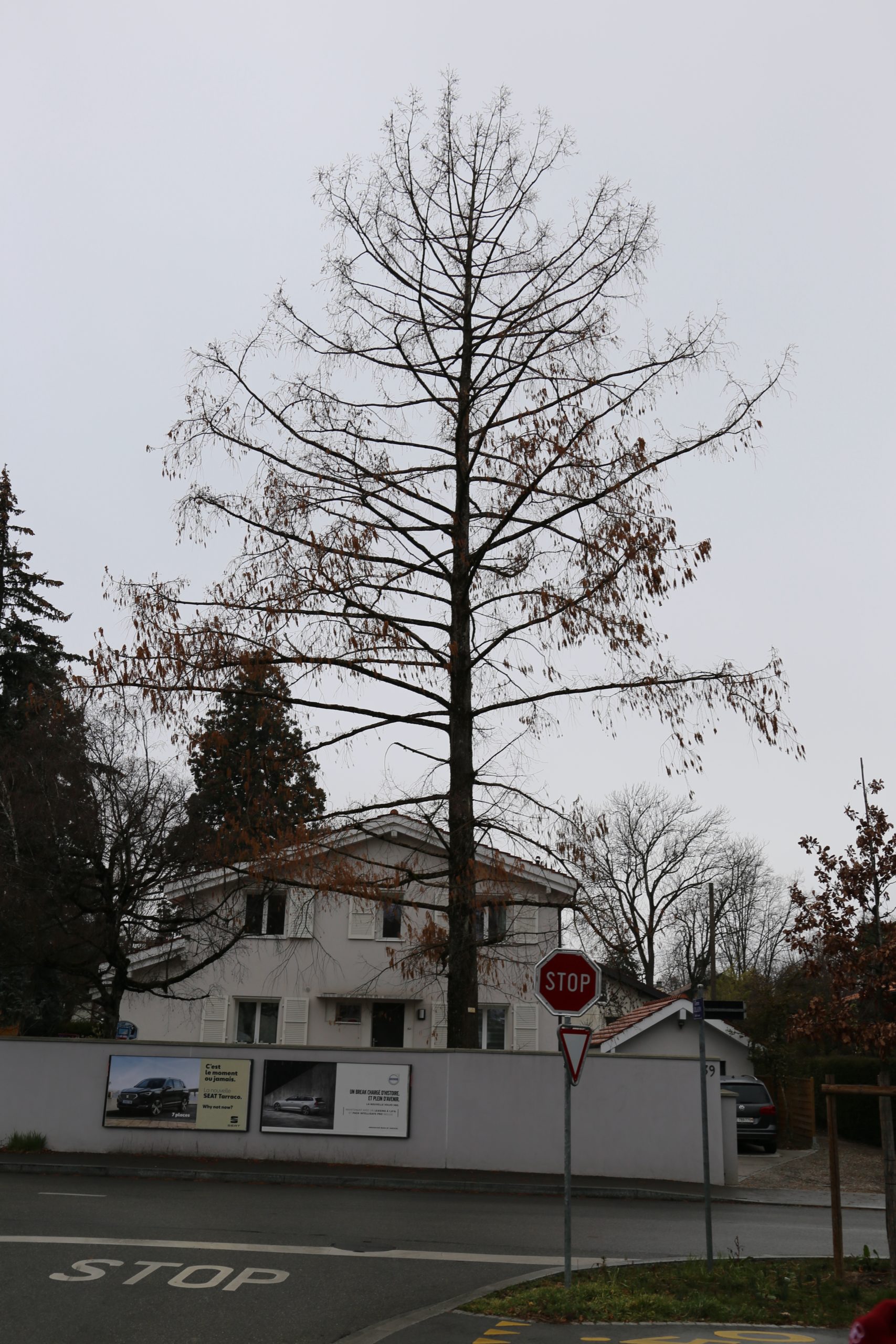 2019-03-02_13-42-02