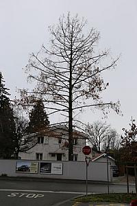 2019-03-02_13-42-02