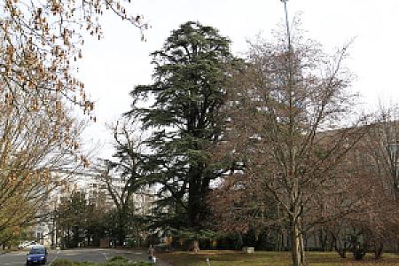 2019-03-02_11-06-12