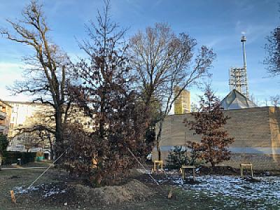 2019-01-26_16-24-37