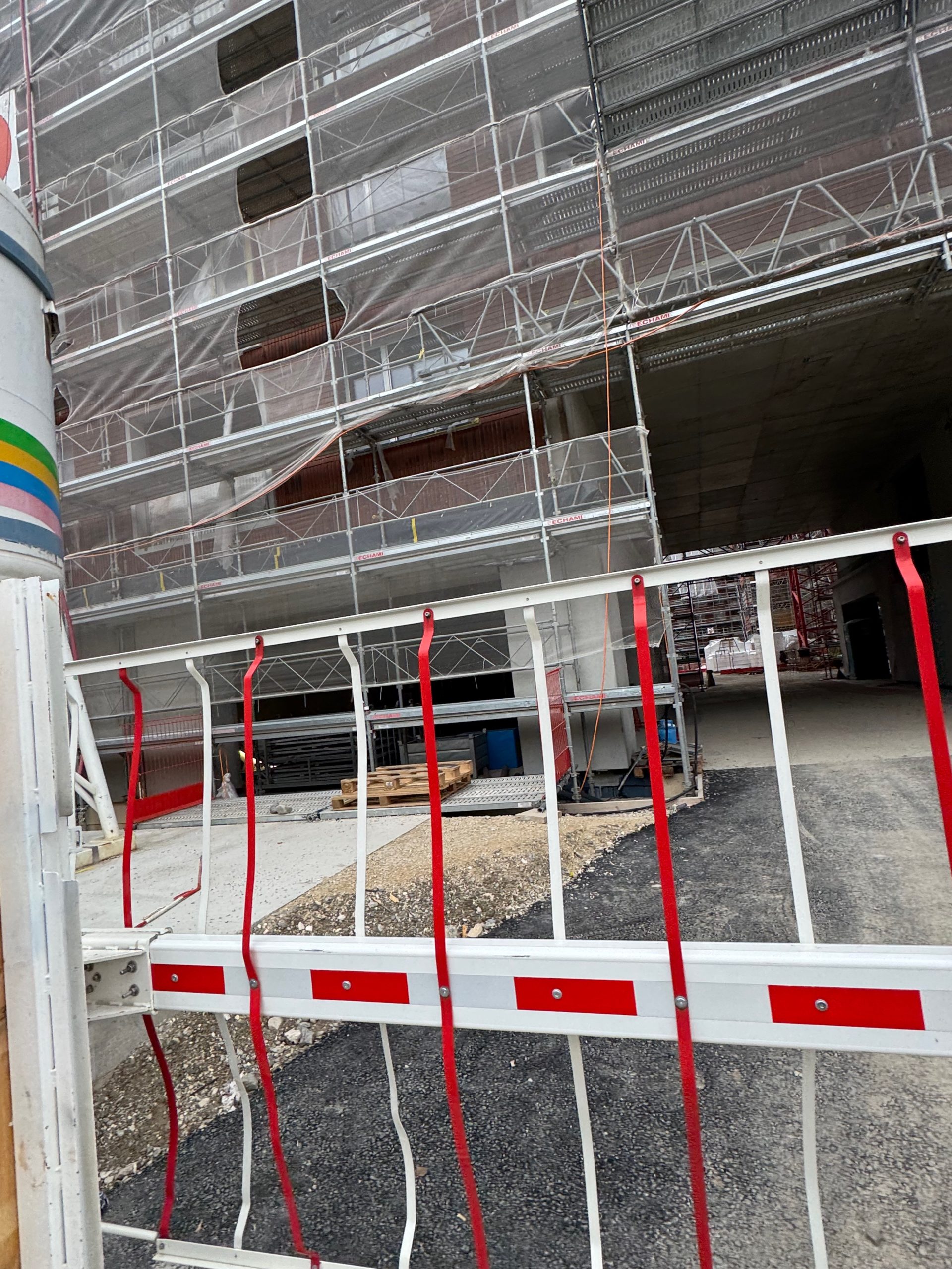 IMG_20241210_131147