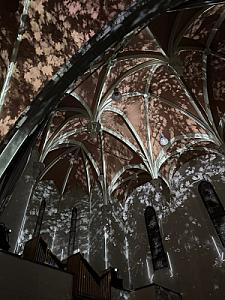 IMG_6625