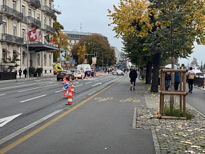 IMG_20241103_081108
