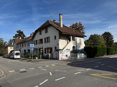 IMG_6451