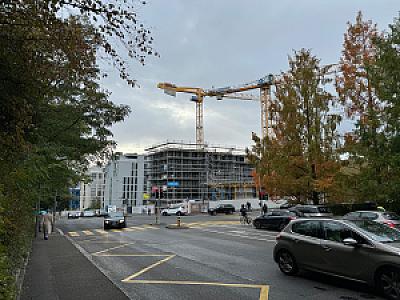 IMG_0556