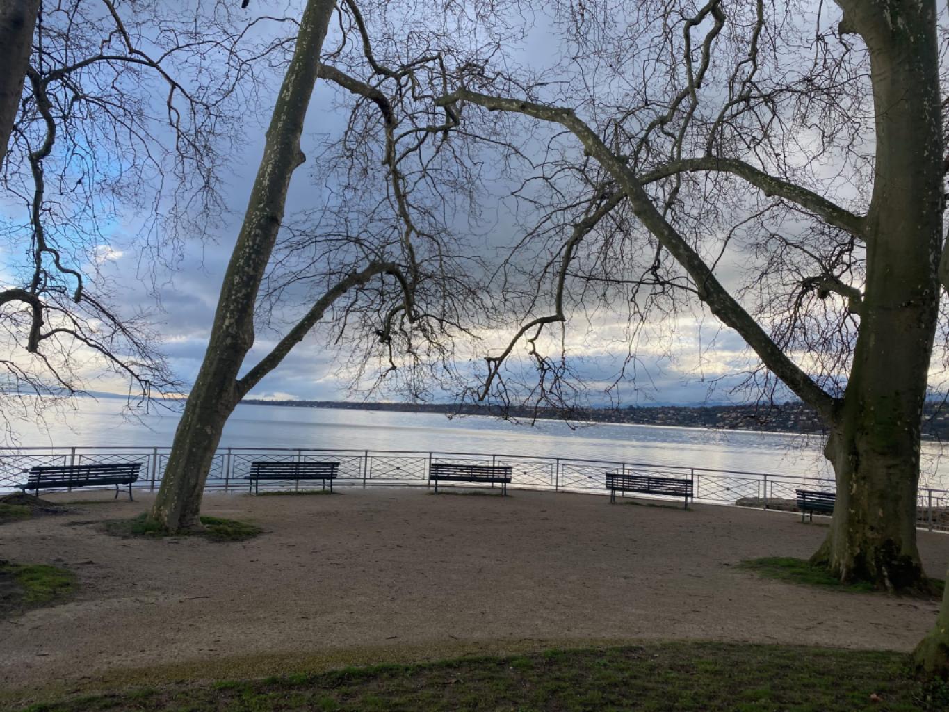 Parc William-RAPPARD