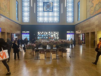 IMG_0664