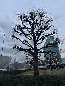 IMG_8077