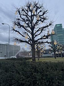 IMG_8076