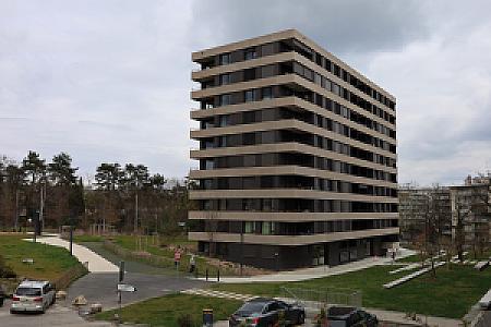 IMG_0171