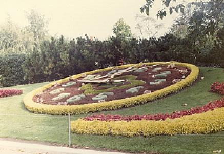 1982