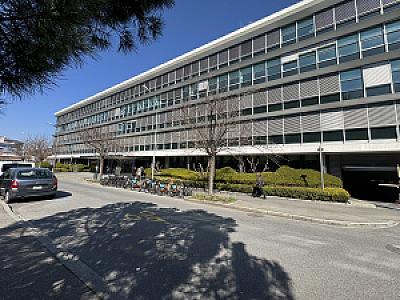 IMG_8401