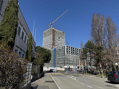 IMG_8390