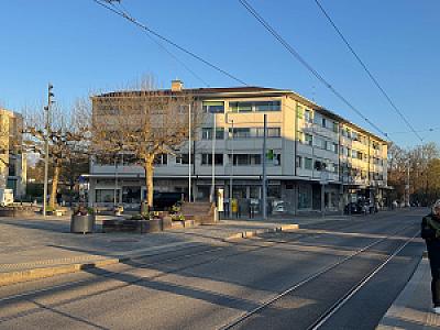 IMG_8593