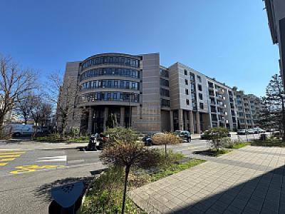 IMG_8396