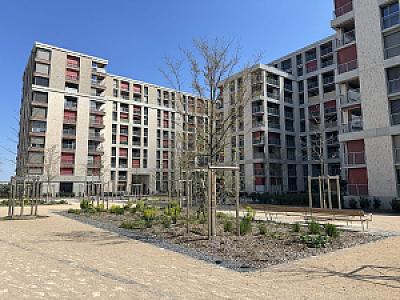 IMG_8636