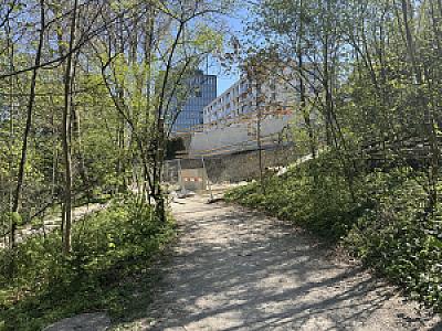 IMG_8765
