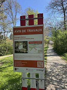 IMG_8764