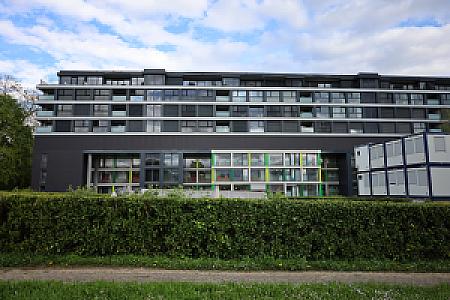 IMG_0262