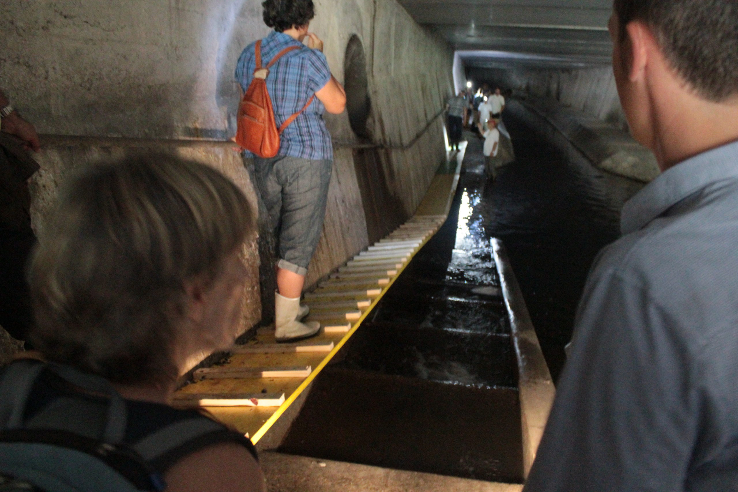 Genève-Canal de l'aire-2011JDP-12