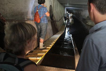 Genève-Canal de l'aire-2011JDP-12