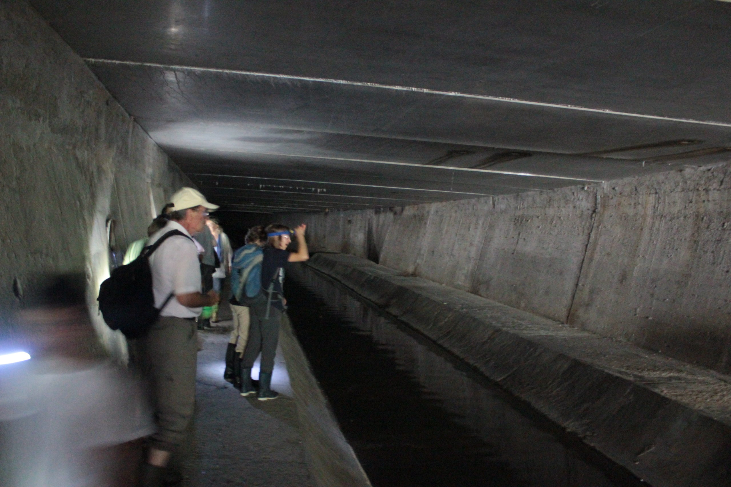 Genève-Canal de l'aire-2011JDP-14