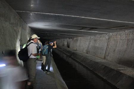 Genève-Canal de l'aire-2011JDP-14