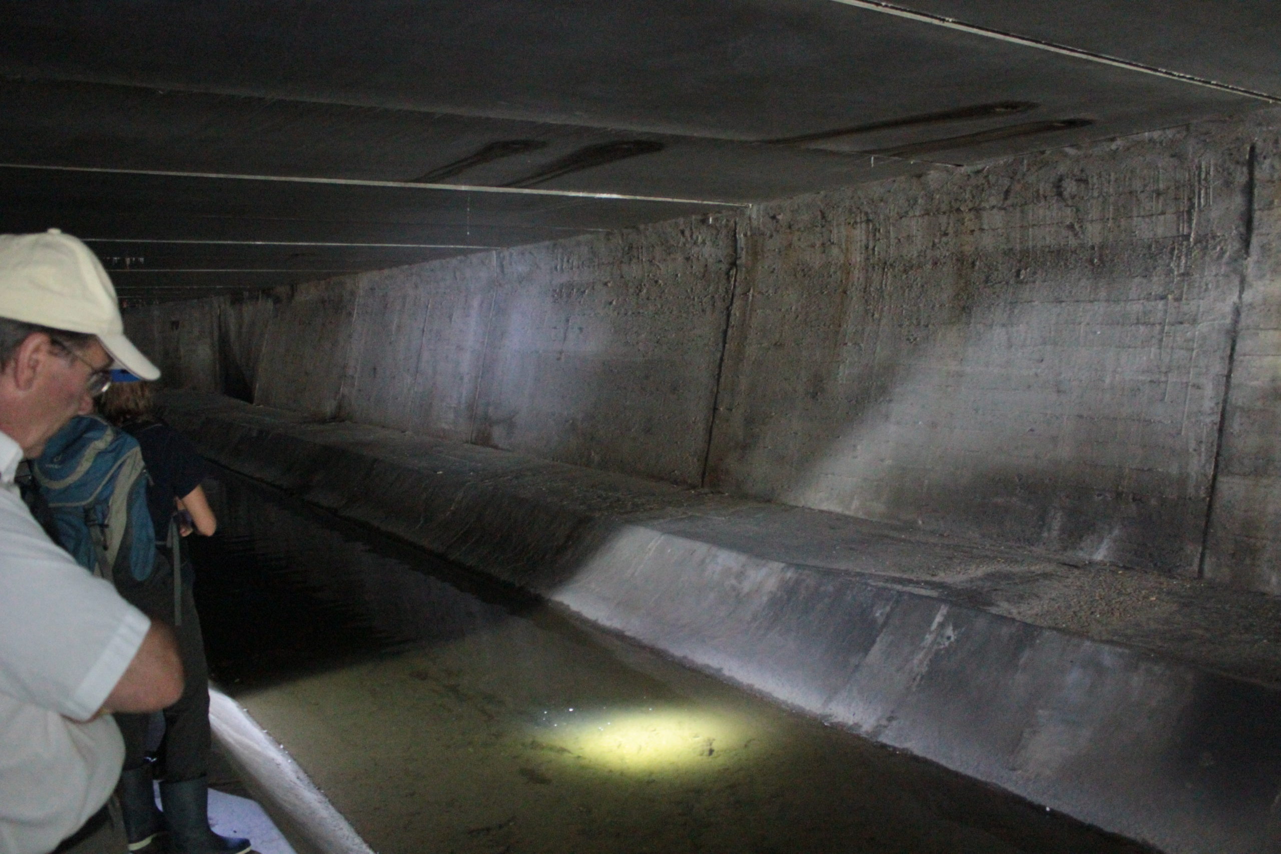 Genève-Canal de l'aire-2011JDP-16