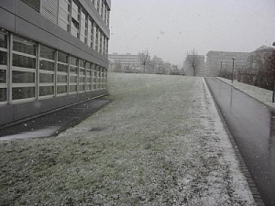 Genève-Collège André Chavanne-5
