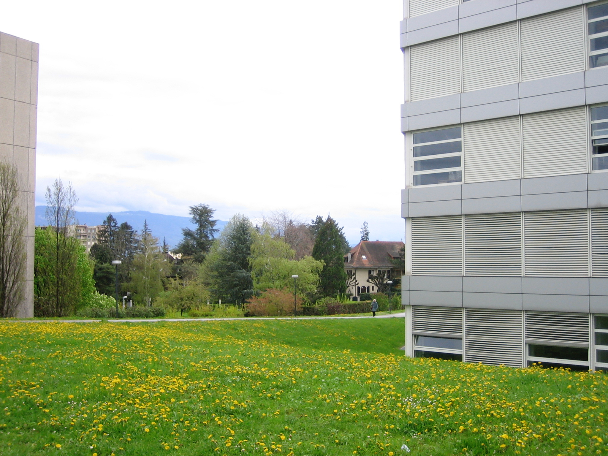 Genève-Collège André Chavanne-13