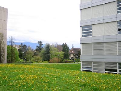 Genève-Collège André Chavanne-13
