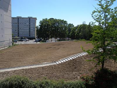 2010-06-05_13-34-07
